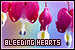 Bleeding Hearts