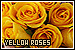 Yellow Roses