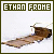 'Ethan Frome'