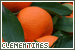 Clementines
